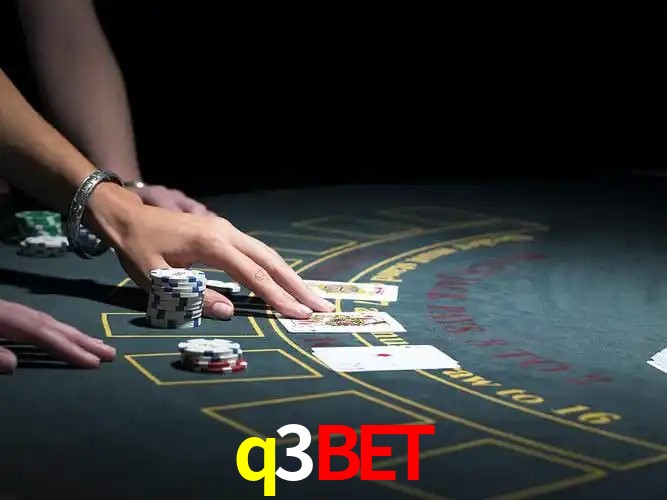 q3bet Salvador - Support